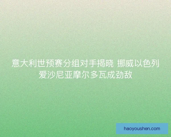 意大利世预赛分组对手揭晓 挪威以色列爱沙尼亚摩尔多瓦成劲敌