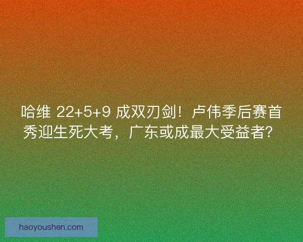 哈维 22+5+9 成双刃剑！卢伟季后赛首秀迎生死大考，广东或成最大受益者？