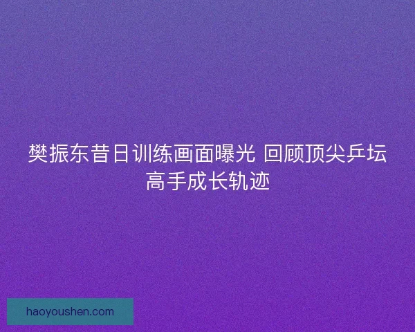 樊振东昔日训练画面曝光 回顾顶尖乒坛高手成长轨迹