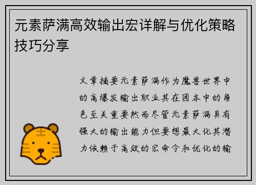 元素萨满高效输出宏详解与优化策略技巧分享